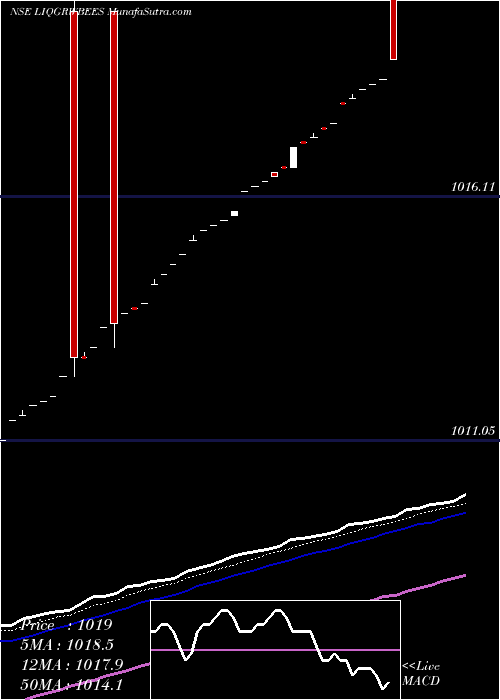  Daily chart NipponamcLiqgrwbees