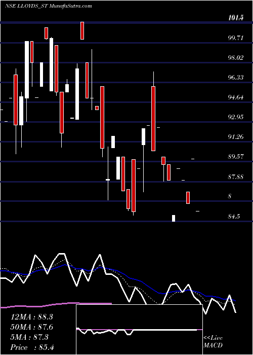 Daily chart Lloyds Luxuries Limited