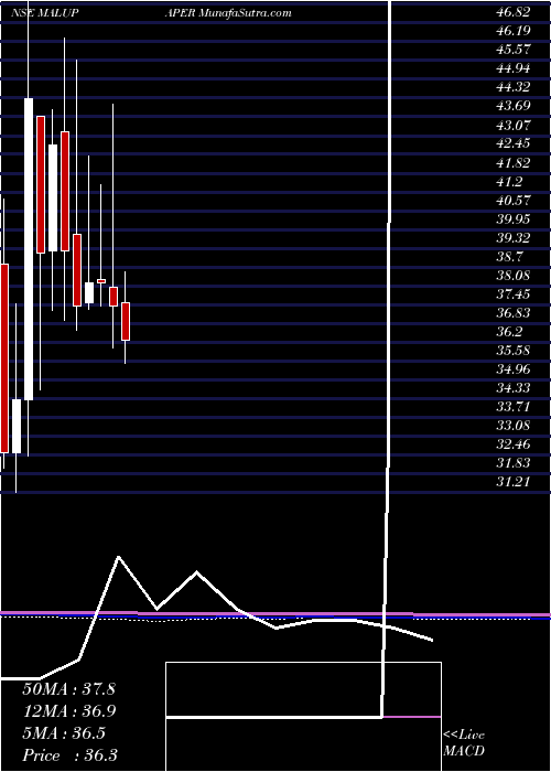 monthly chart MaluPaper