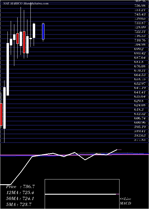  monthly chart Marico