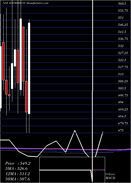  monthly chart MatrimonyCom