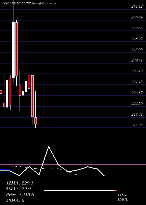  Daily chart RaysBelief