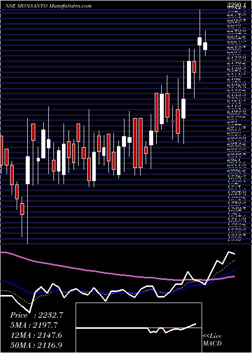  Daily chart Monsanto India Limited