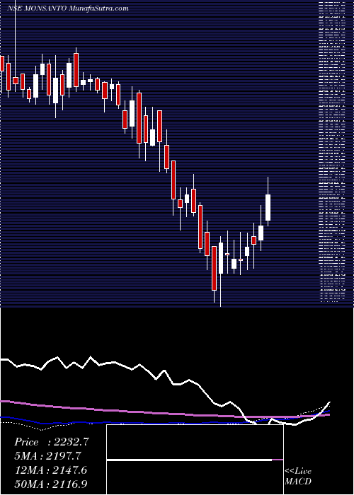  weekly chart MonsantoIndia