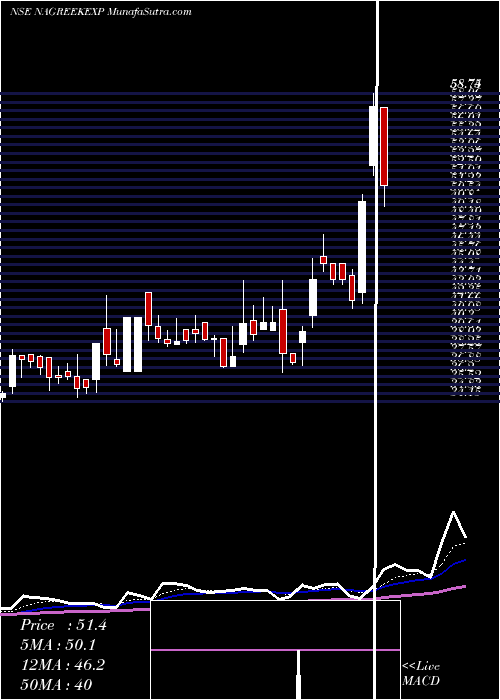  Daily chart Nagreeka Exports Limited