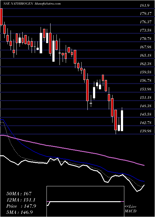  Daily chart Nath Bio-Genes (India) Limited