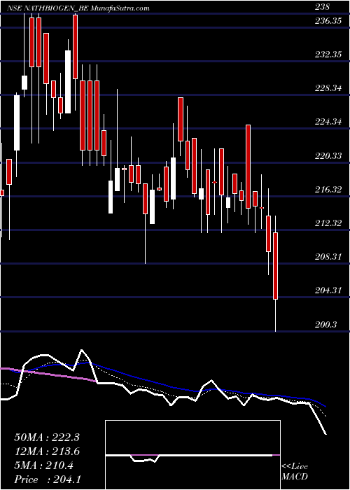  Daily chart NathBio