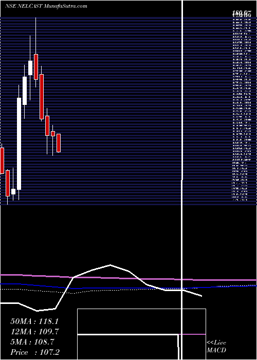  monthly chart Nelcast