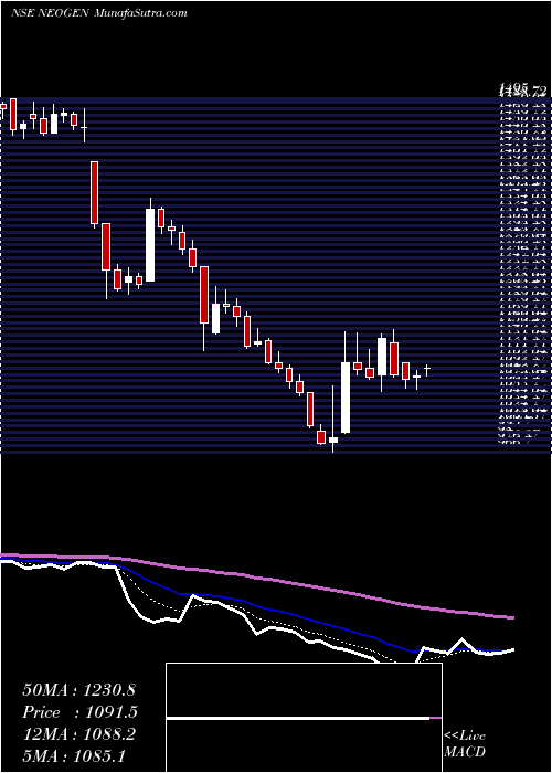  Daily chart NeogenChemicals