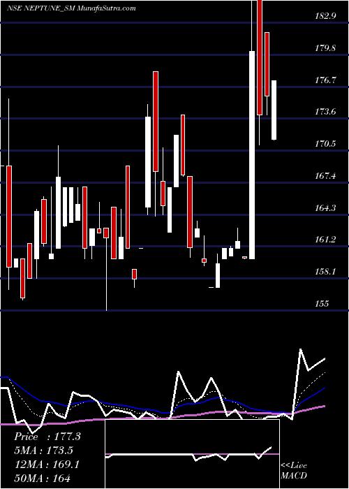  Daily chart NeptunePetrochemicals