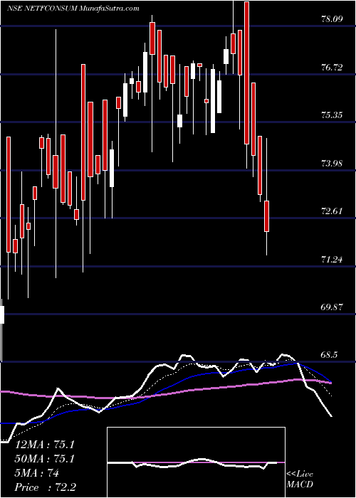  Daily chart Nippo Ind Etf Consumption