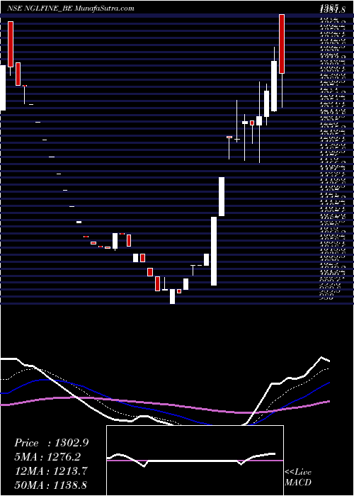  Daily chart Ngl Fine Chem Limited