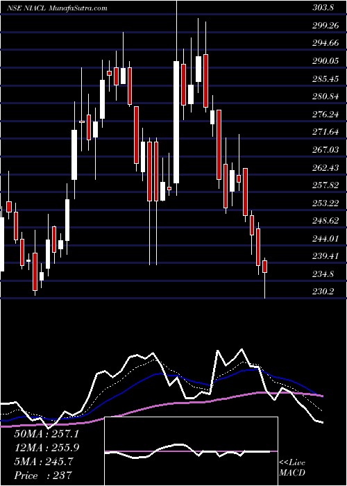  Daily chart NewIndia