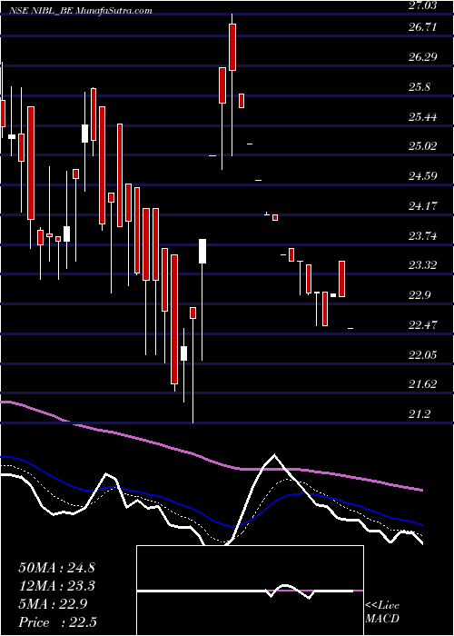  Daily chart NrbIndus