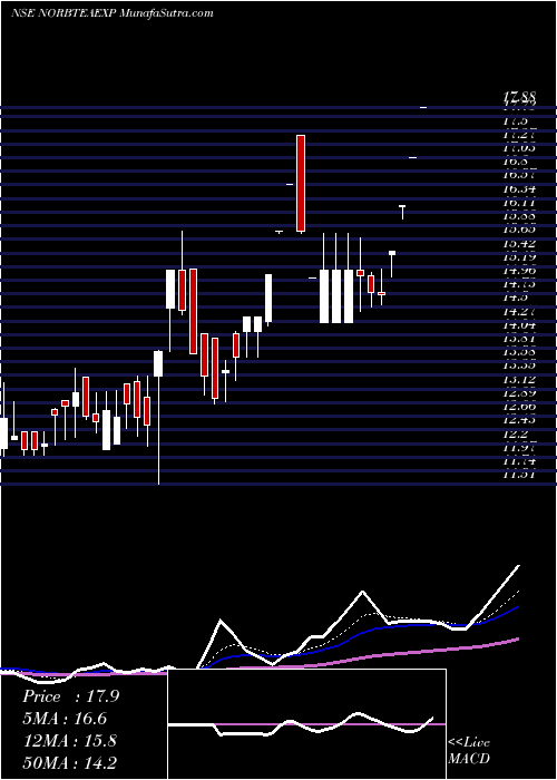  Daily chart Norben Tea & Exports Limited