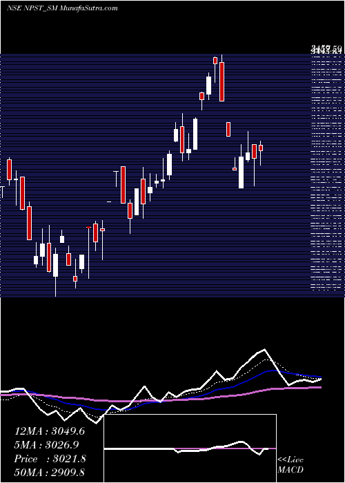  Daily chart Network People Srv Tech L