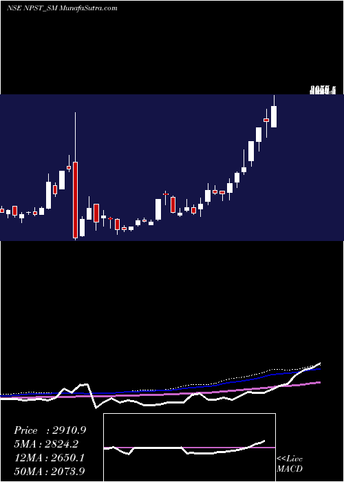  weekly chart NetworkPeople