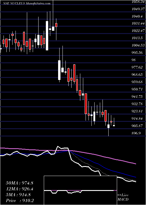  Daily chart NucleusSoftware