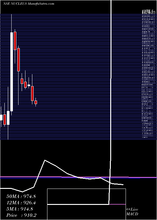  monthly chart NucleusSoftware