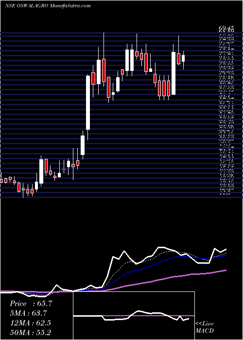  Daily chart Oswal Agro Mills