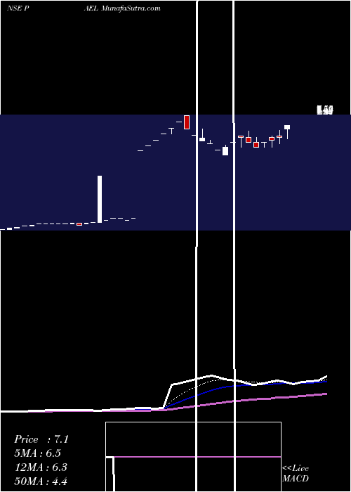 Daily chart PAE Limited