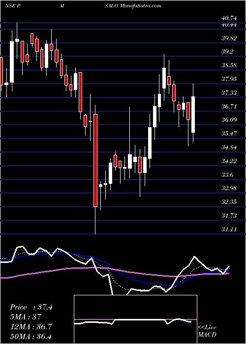  Daily chart PaisaloDigital