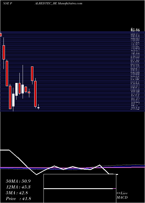  monthly chart PalredTechnologies