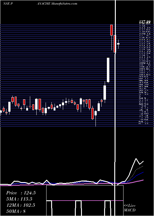  Daily chart PanacheDigilife