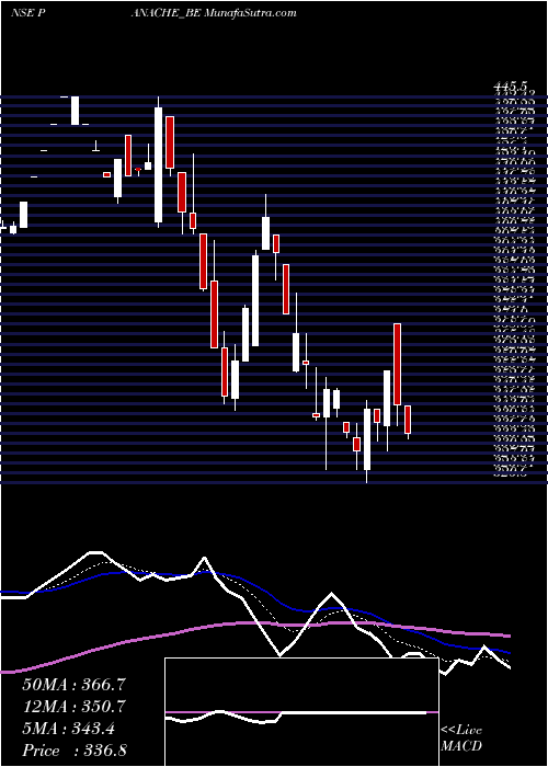  Daily chart PanacheDigilife