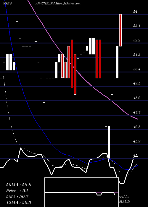  Daily chart PanacheDigilife