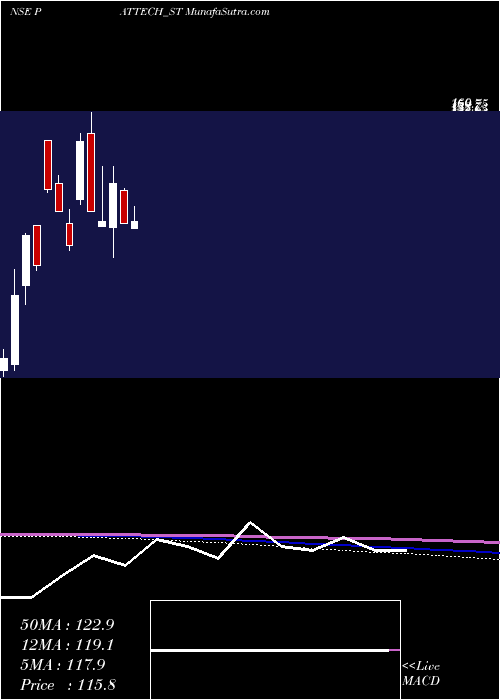  monthly chart PattechFitwell