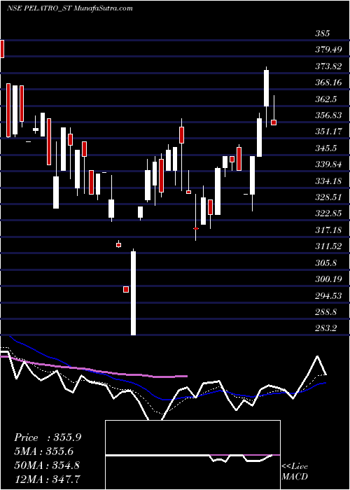  Daily chart Pelatro Limited