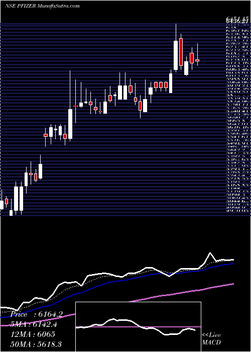  Daily chart Pfizer Limited