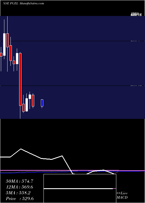  monthly chart PgElectroplast