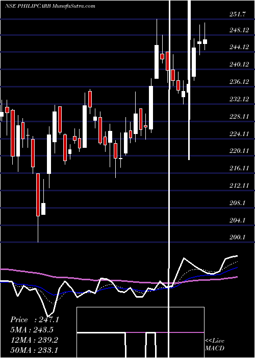  Daily chart Phillips Carbon Black Limited