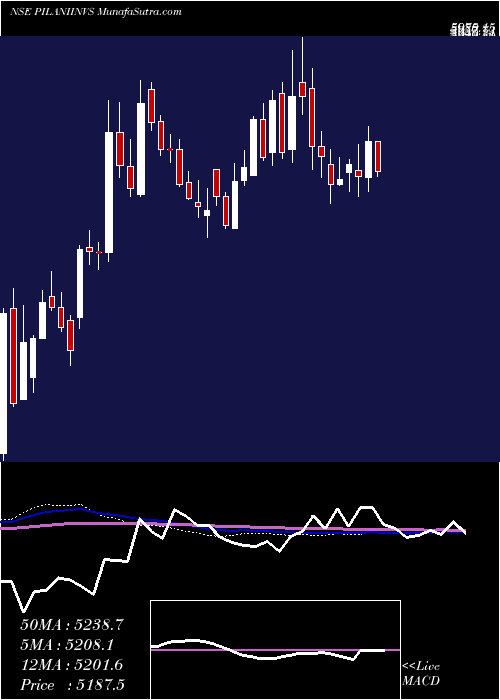  weekly chart PilaniInv