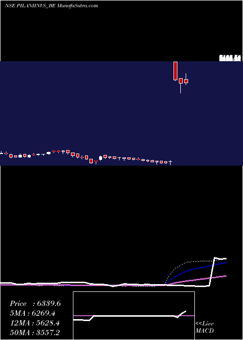  weekly chart PilaniInv