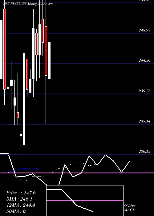  Daily chart PineLabs