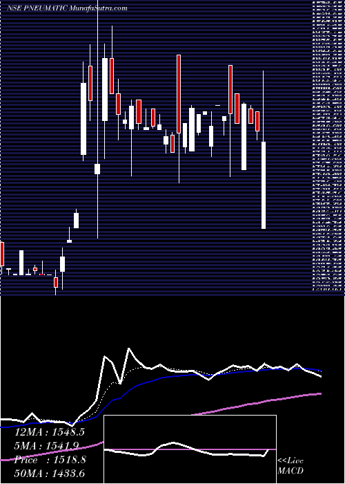  Daily chart PneumaticHoldings