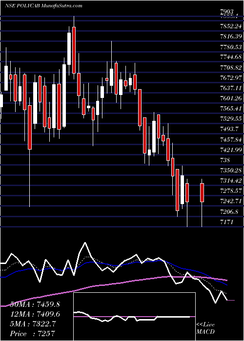  Daily chart PolycabIndia