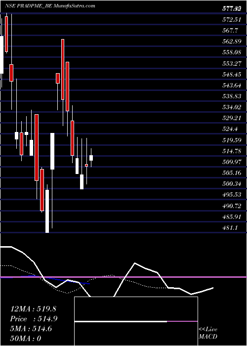  Daily chart PradeepMetals
