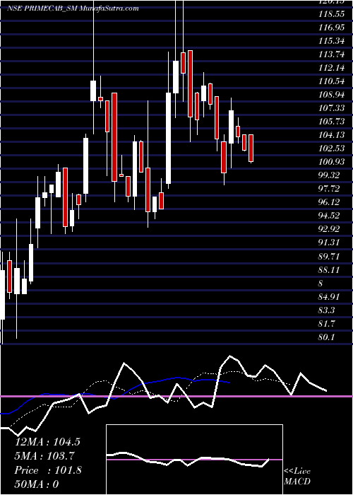  Daily chart PrimeCable