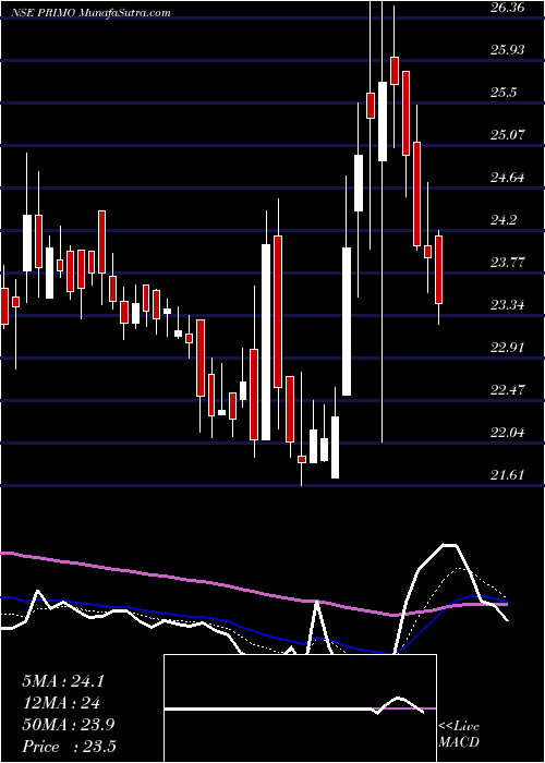  Daily chart PrimoChemicals