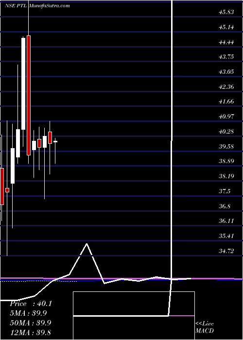  monthly chart PtlEnterprises