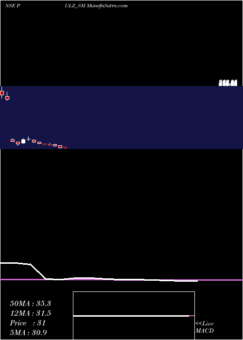  monthly chart PulzElectronics