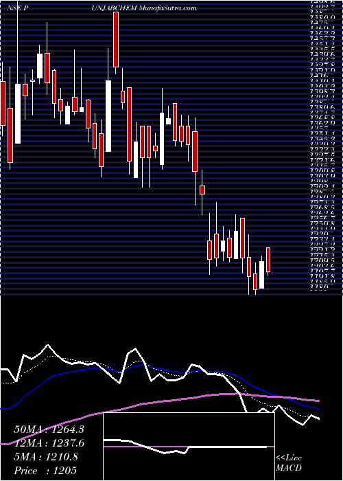  Daily chart PunjabChemicals