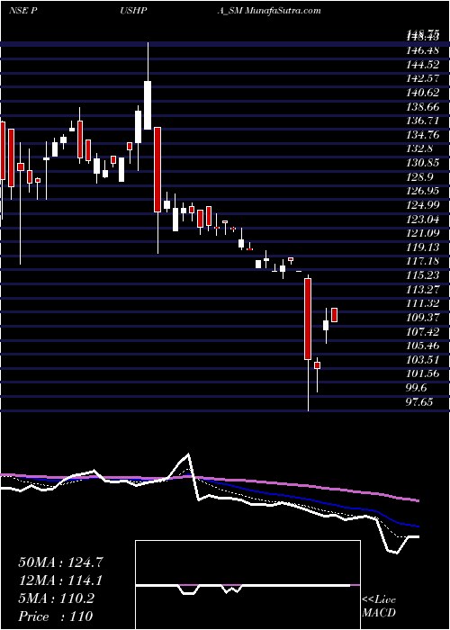  Daily chart PushpaJewellers