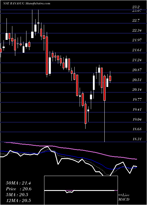  Daily chart RanaSugars