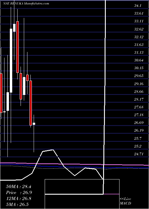  monthly chart ShreeRenuka