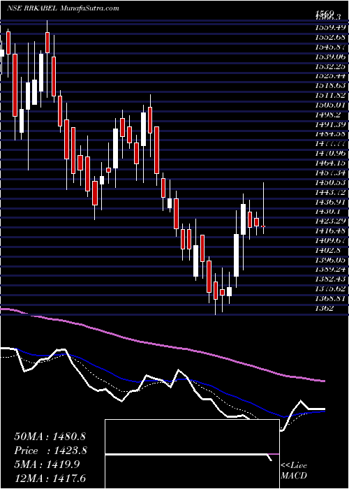  Daily chart RR